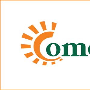 Company icon