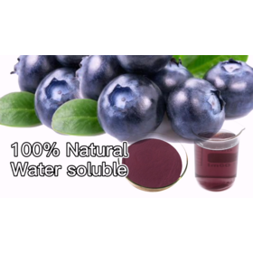 Currant Fruit Flavor Powder Black Currant Fruit Juice Concentrate Powder Water Soluble Organic Black Cosmetic Fruit Extract Wild