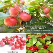 We are leading in Manufacturing Exports & Suppliers of Wintergreen Oil.
1.High Quality
2. Reasona