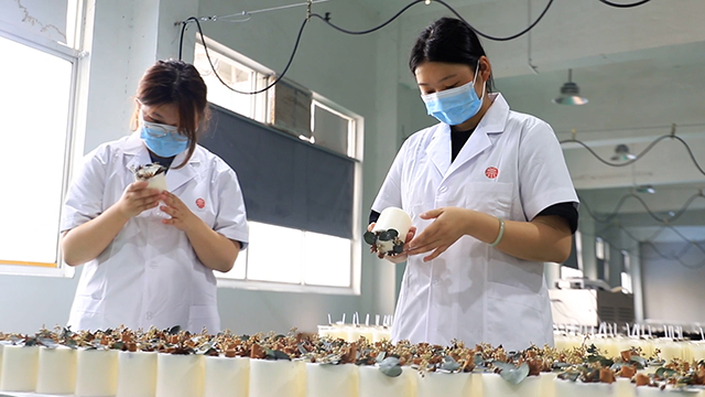 Tongchuang Huitong (Chengdu) Technology Co., Ltd. Scented Candle
