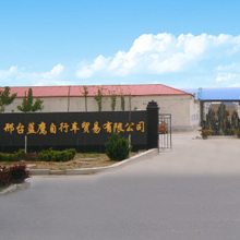 Xingtai Lanying Bicycle Trade Co., Ltd. Mountain Bike