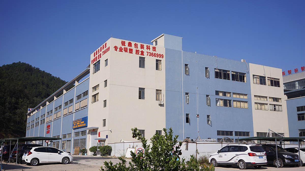 Ruiding Creative Packaging Co., Ltd Blister Packaging