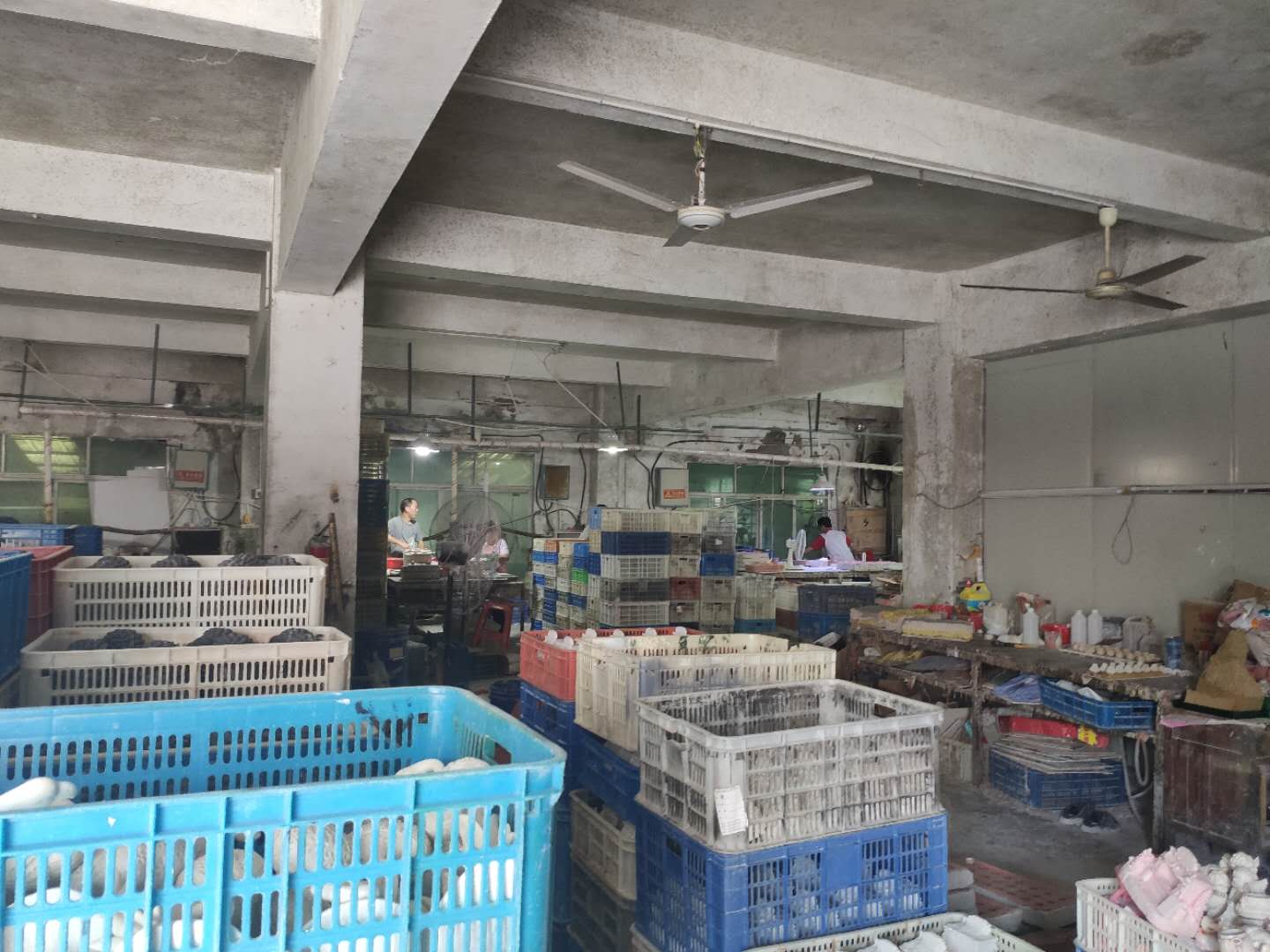 Quanzhou Cactus Industrial Co., Ltd. Garden Decors