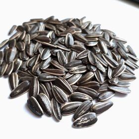 Sunflower seeds Snacks Nut & Kernel snacks New Crop Best Quality Packaging Bulgarian Origin Snacks BRC