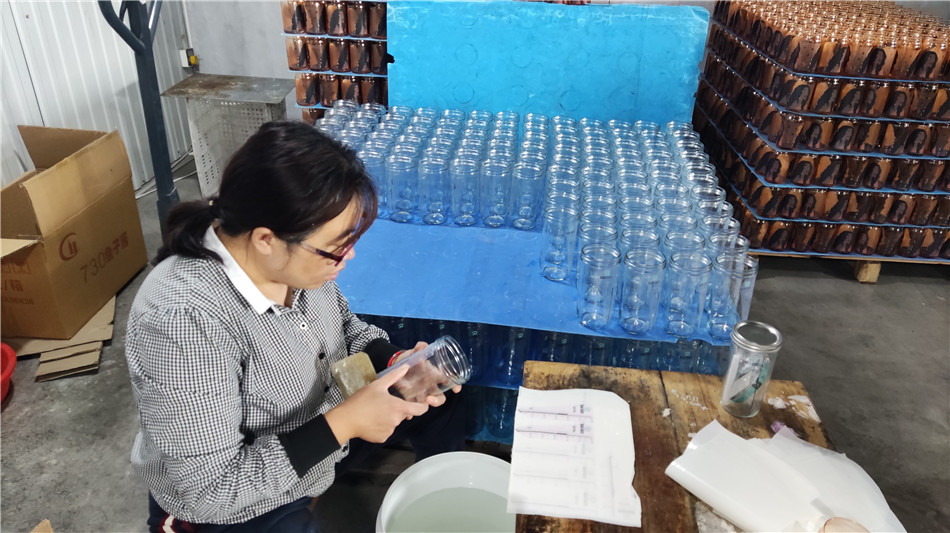ZIBO GREAT SAILING LIGHT INDUSTRIAL PRODUCTS CO., LTD. Glass Candle Holders