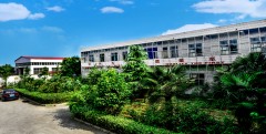 Changge Longxin Arts & Crafts Co., Ltd. Clip In Hair