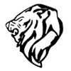 Company icon