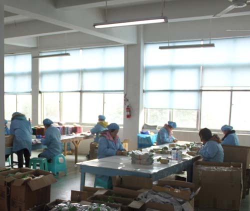 Wenzhou Laili Sticker Crafts Co., Ltd. Nail Sticker