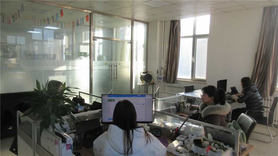 Anshan Go Home Intelligent Technology Co., Ltd. Jade Massage Mask