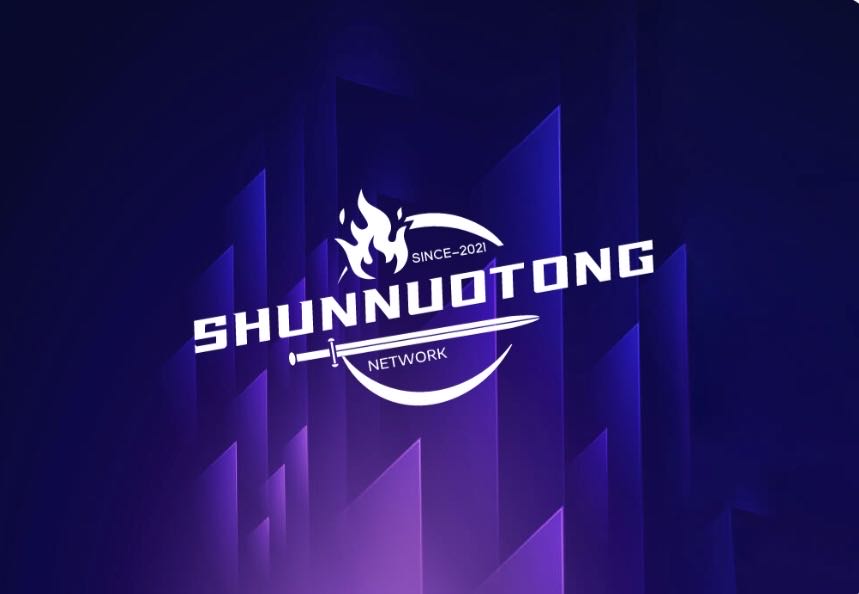 Wuhan Shunnuotong International Trade Co., Ltd. logo