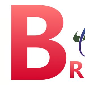 Company icon
