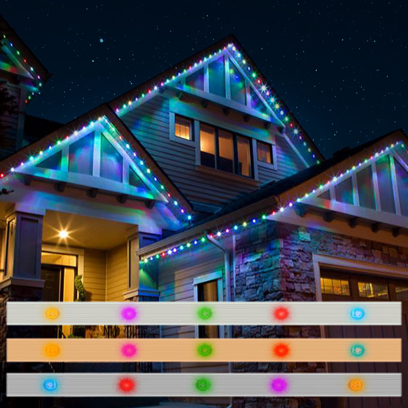 Shenzhen Illuminate World Technology Co., Ltd. Permanent exterior holiday decoration lights rgbic 48v jellyfish permanent christmas light outdoor led pixel string light