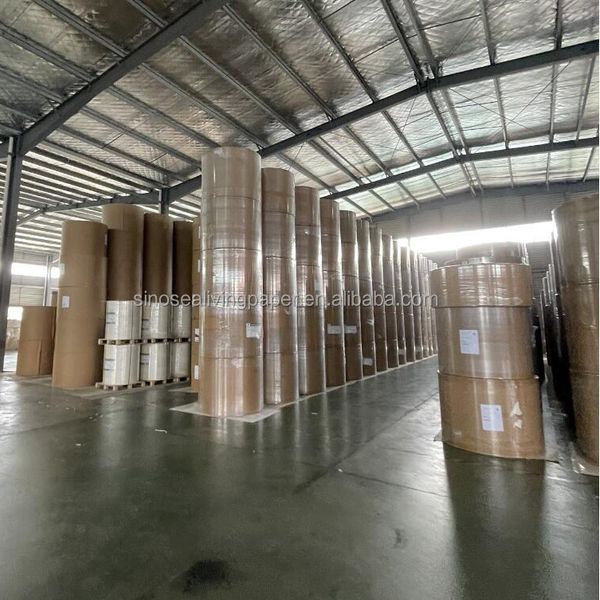 Raw material price ivory board 300gsm white coated paper cup
