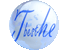 Yongkang Fushite Import & Export Co., Ltd. logo
