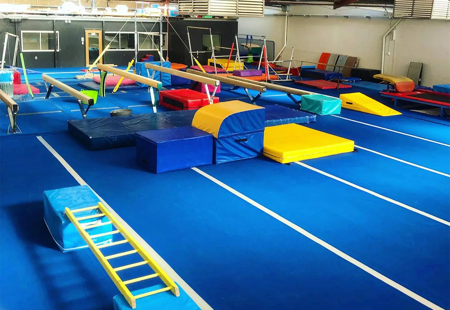 Shanghai Gaohao Sports Co., Ltd. Gymnastics Mats