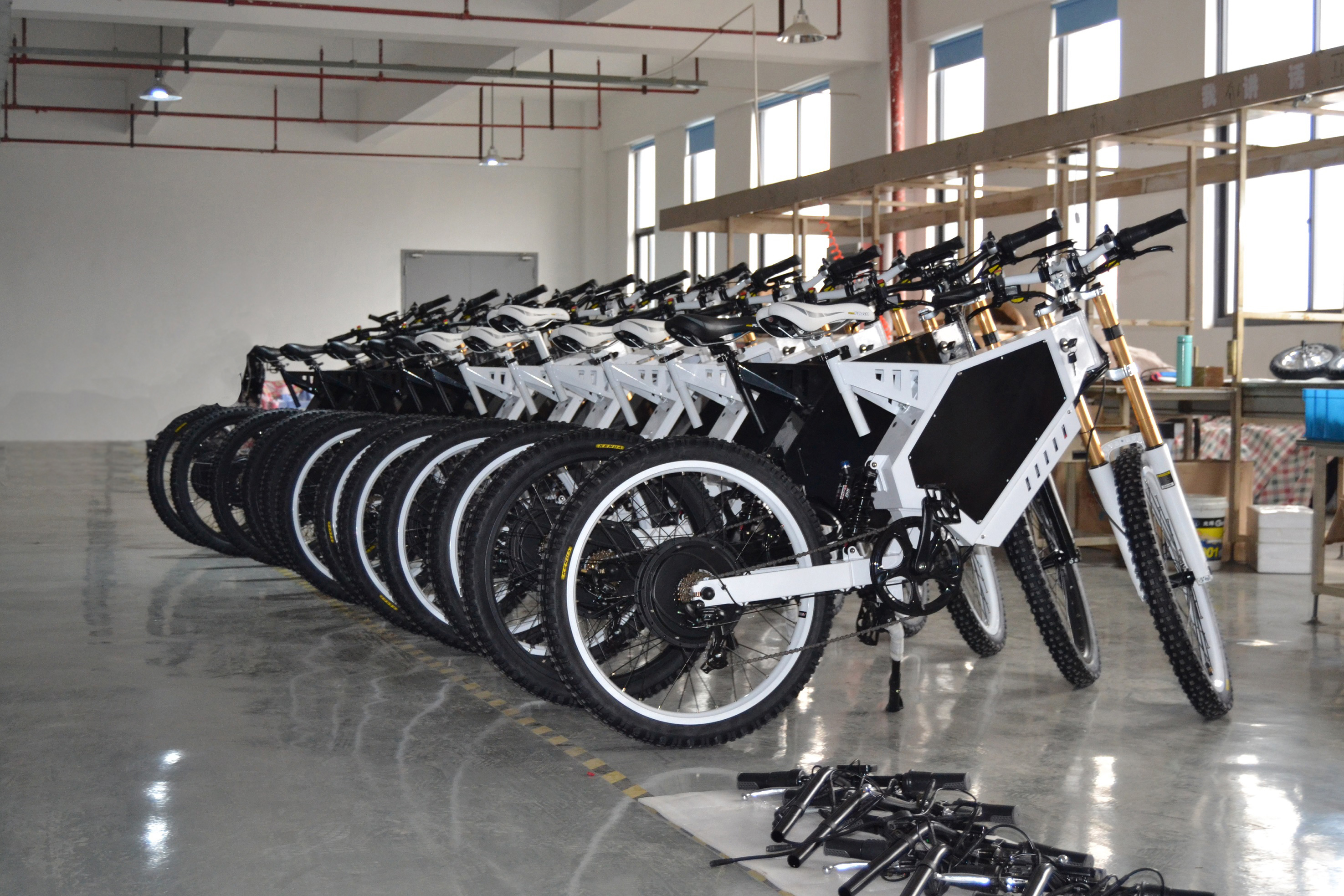 Changzhou Bluedot Vehicle Technology Co., Ltd. Electric Bike