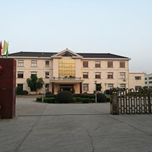 Wuxi Wow Lighting Co., Ltd. LED Christmas Lights