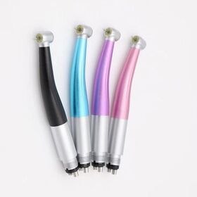 Dental Lab Institution Handpiece Surgical Tool 2 4 Hole Scenery Dental Handpiece Metal Ce OEM Dental Handpiece High Speed 1years