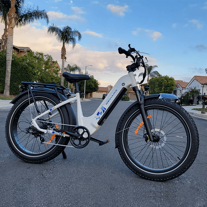 E-bikes Wholesale Only for USA 26ince Fat Tire Rear Rack Commuting Family Electric Bicycle