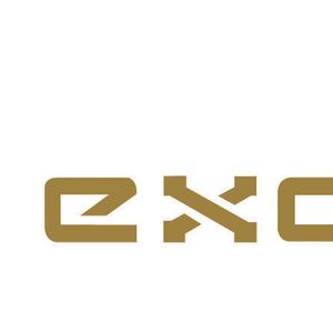 Company icon