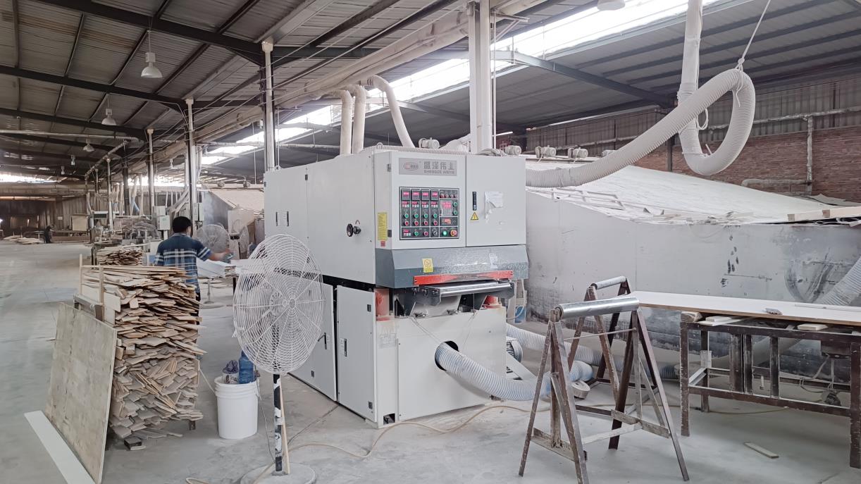 Fujian ShengMiao International Industrial Co., Ltd. factory image 4