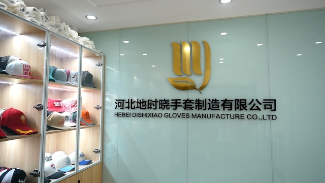 Hebei Dishixiao Gloves Manufacture Co., Ltd. Leather Gloves