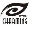 Company icon
