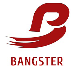 Shijiazhuang Bangster Import and Export Co., Ltd. logo