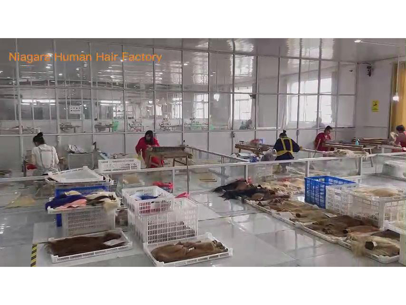 Niagara Human Hair Factory Human Hair Extensions