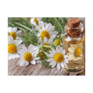 Assured Quality Best Selling 100% Natural and Organic Chamomile Roman Essential Oil at Low Price for Sale