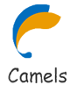 Zhengzhou Camels Commercial And Trading Company Ltd. logo