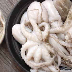 Raw octopus whole round