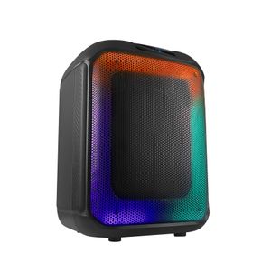 Temeisheng New wireless Bluetooth Speakers single 12 inch portable Box Sound system party Mini Size