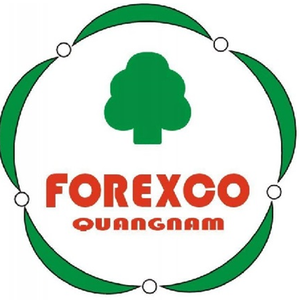 Company icon