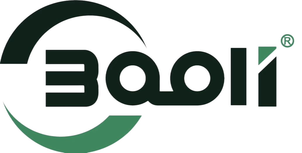 Baoli Technology (Ningguo) Co., Ltd. logo