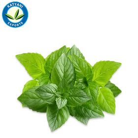 Pure Peppermint Essential Oil Bulk/ 100% Organic & Pure Peppermint  oil