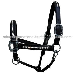 Best Quality Horse Leather Halter With Black Color designer horse halter equestrian Adams International wholesaler manufacturer