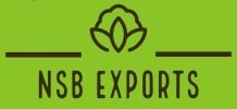 NSB EXPORTS logo
