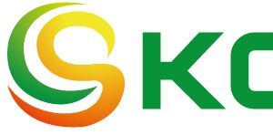 Company icon