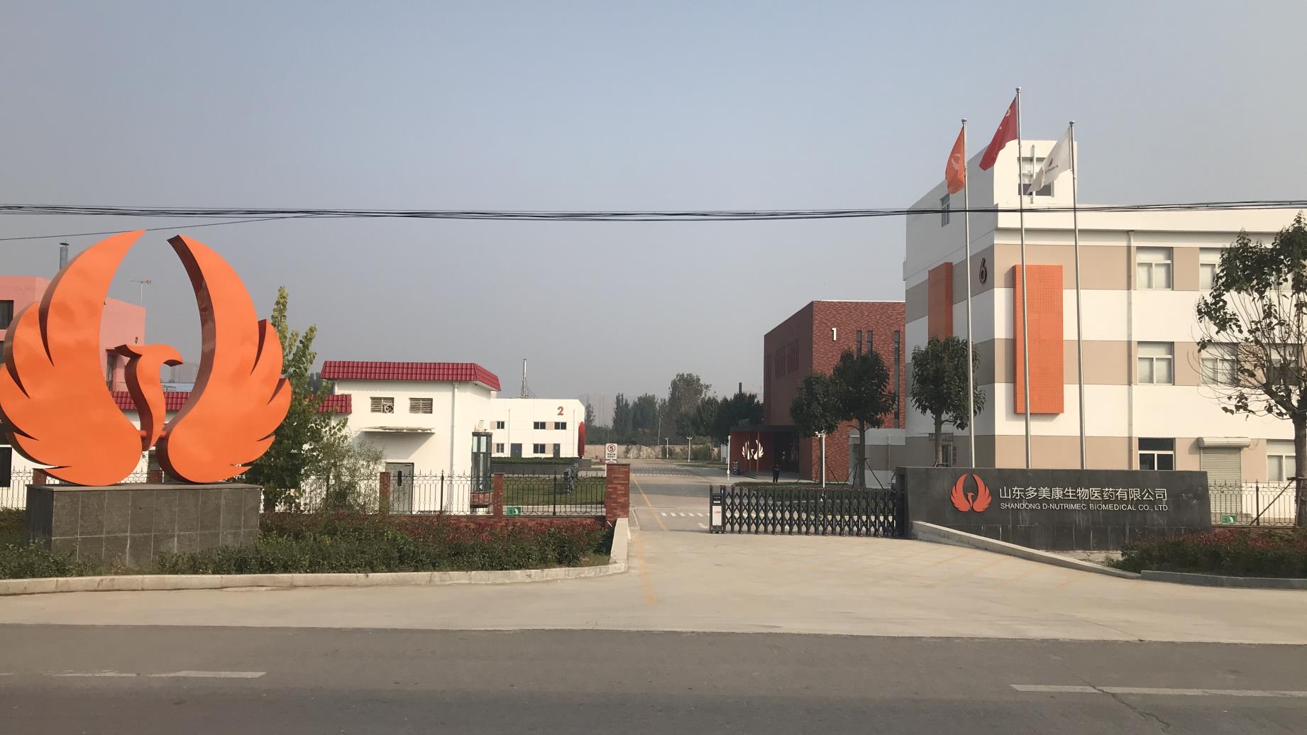Shandong D-Nutrimec Biomedical Co., Ltd. Medical Functional Dressing