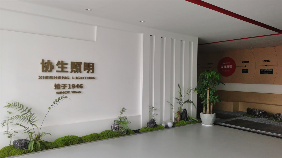 Ningbo Xiesheng Lighting Industrial Co., Ltd. Head Lamp