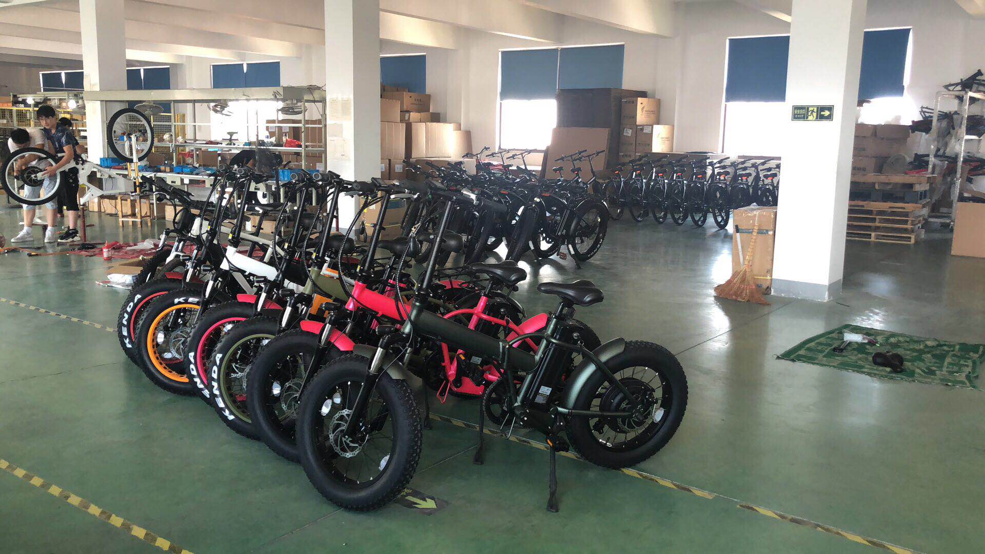 Changzhou Niubo Power Co., Ltd. Electric bicycle
