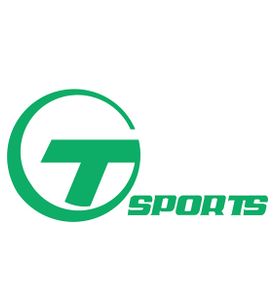 Company icon