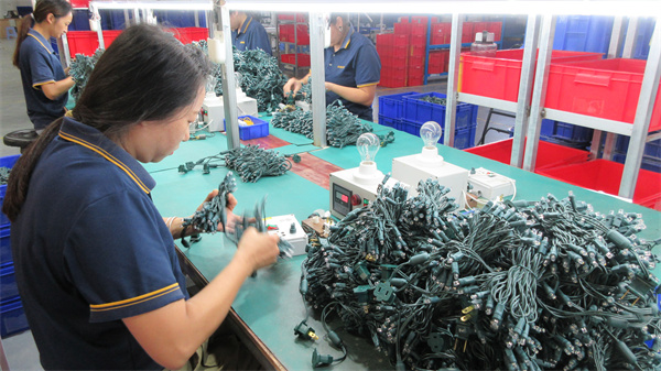 Zhangzhou Go Win Lighting Co., Ltd. LED decorative lights