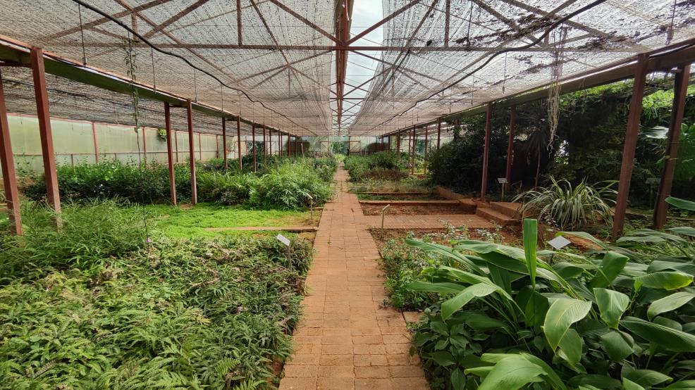 Yunnan Luyin Gardening Co., Ltd. factory image 5