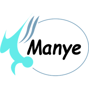 Company icon