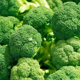 High Quality Fresh Broccoli Green By Bulk Frozen Vegetables Frozen Broccoli For Cooking