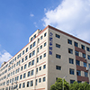 Hefei Taimusi Network Technology Co., Ltd. logo