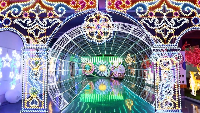 Shenzhen Lesterlighting Technology Co. Ltd LED Motif Lights
