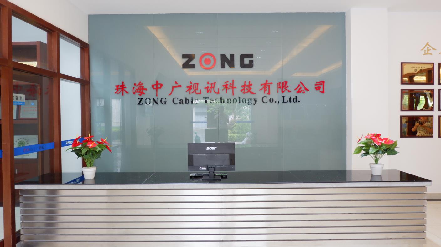 Zong Cable Technology Co., Ltd. USB C Cable